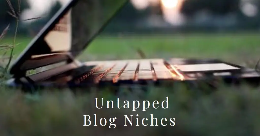 25 Most Profitable Untapped Blog Niches (2024 Edition)