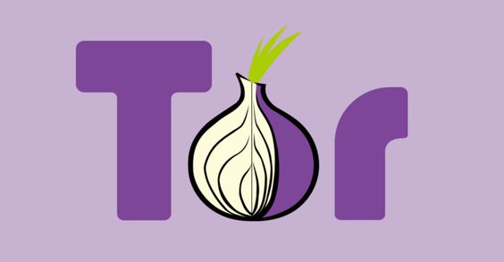 tor browser