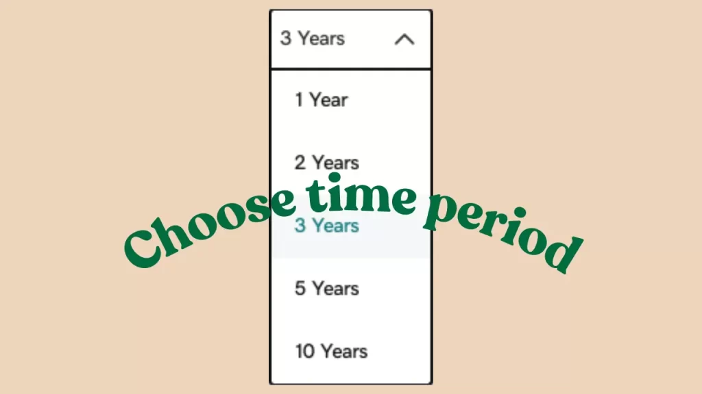 godaddy domain timeline